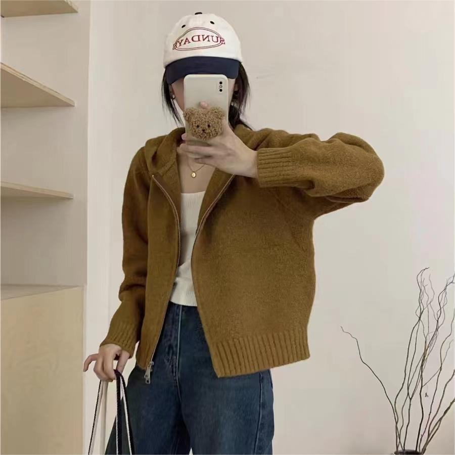 Idle Style Hooded Knit Cardigan Double Zipper Niche Design Cropped Sweater Coat